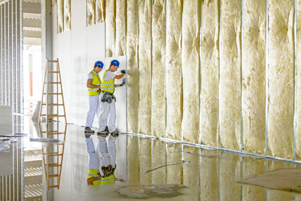 Best Insulation Maintenance and Repair in Deerwood, TX